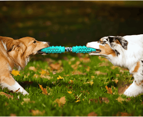 DentalCazuPet Salud Dental Canina