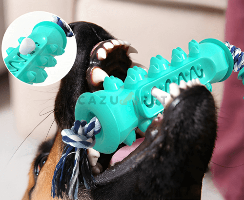 DentalCazuPet Salud Dental Canina