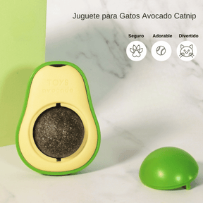 Aguacate con Catnip