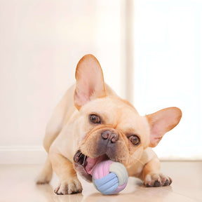 Conjunto de 5 Juguetes de Cuerda Súper Resistentes para Mascotas