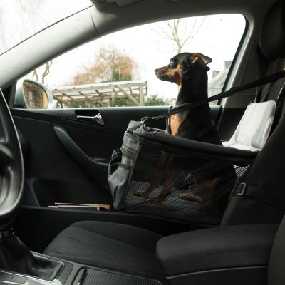 Asiento de coche para perros