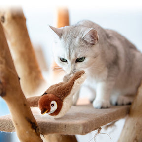 AleteoMagico - Diversión mágica para tu gato