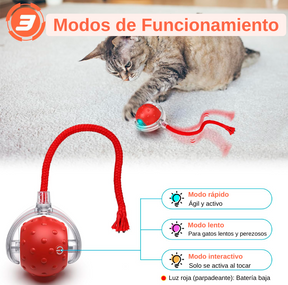 MiauManía - La pelota inteligente que hará que tu gato nunca deje de jugar y moverse.