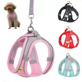 Collar Ajustable Larteq para Mascotas