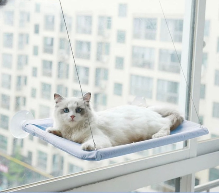 Cama para gatos con ventana y ventosas: gran comodidad para tu felino