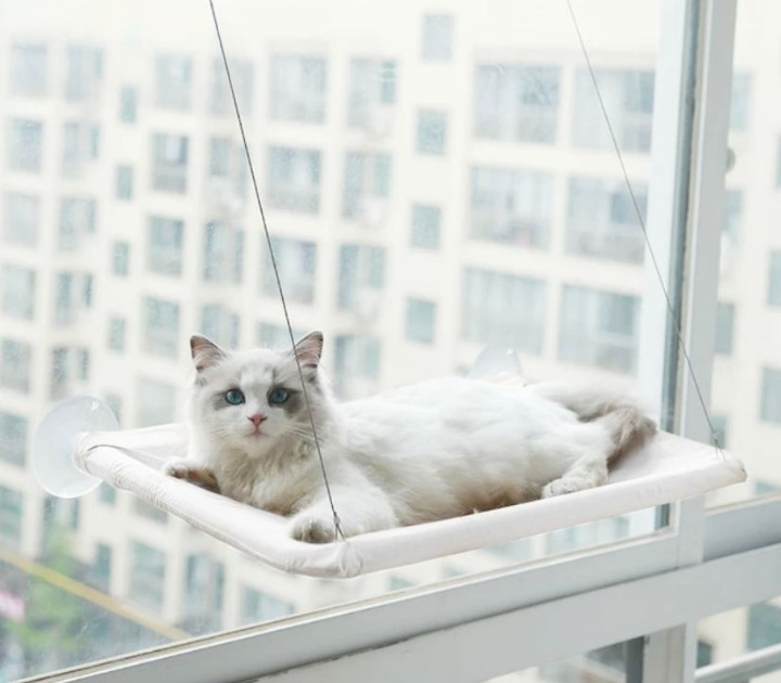 Cama para gatos con ventana y ventosas: gran comodidad para tu felino