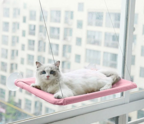 Cama para gatos con ventana y ventosas: gran comodidad para tu felino