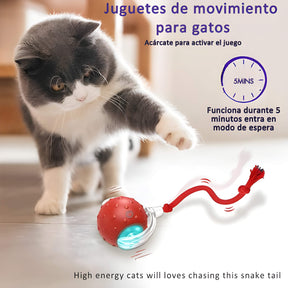 MiauManía - La pelota inteligente que hará que tu gato nunca deje de jugar y moverse.